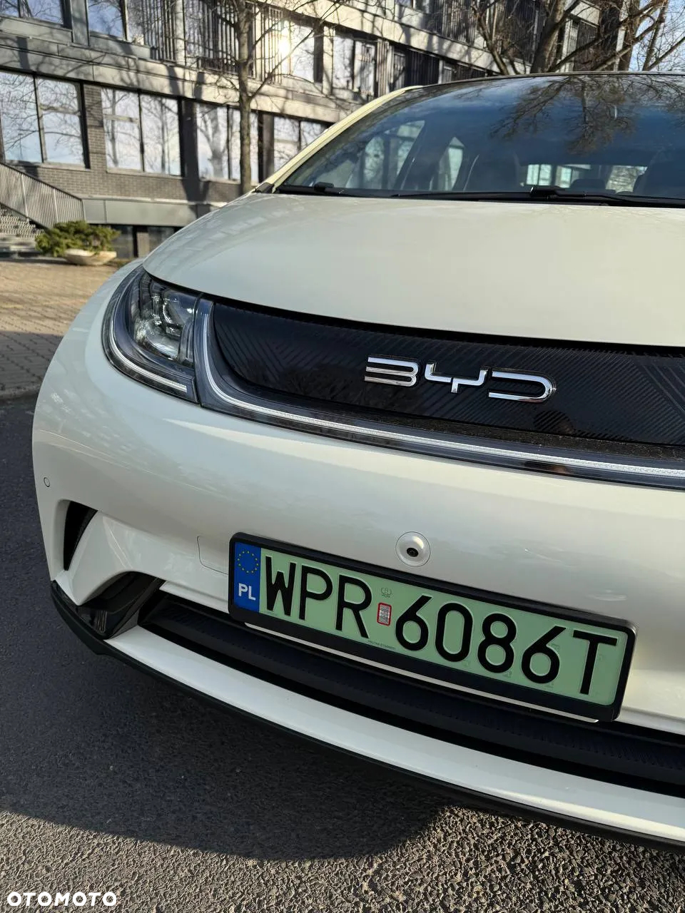 BYD Dolphin Active - 12