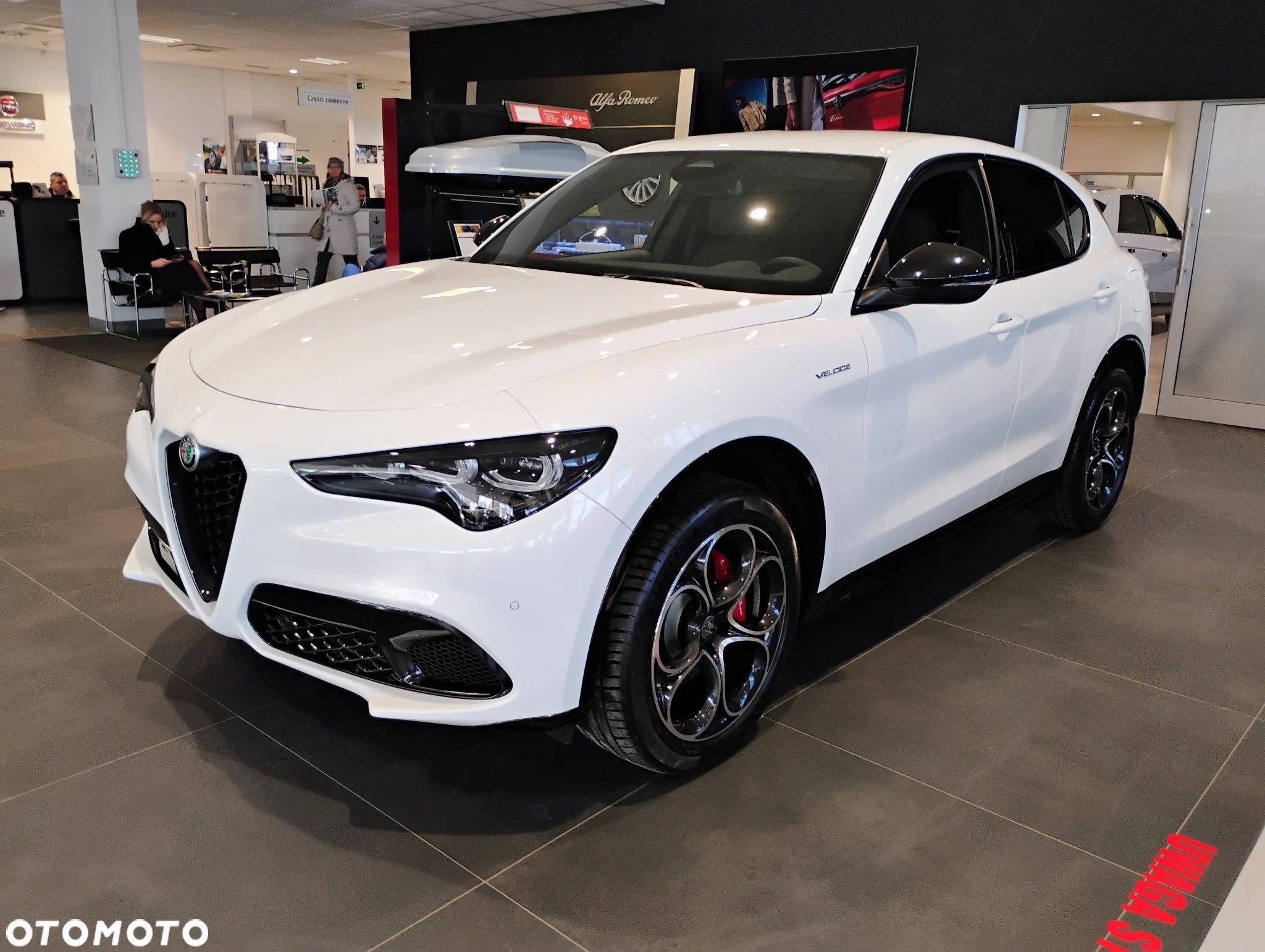 Alfa Romeo Stelvio 2.0 Turbo Veloce Q4 - 1