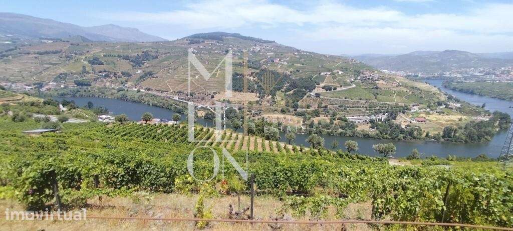 Quinta com 3 hectares e vistas desafogadas para o rio Douro - Grande imagem: 2/16