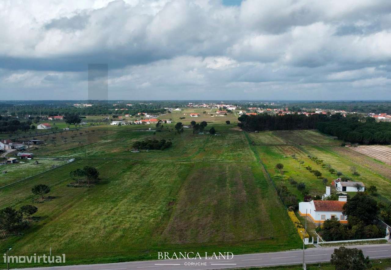 Terreno com 3.850 m2, situado na Branca, concelho de Coruche. - Grande imagem: 4/13