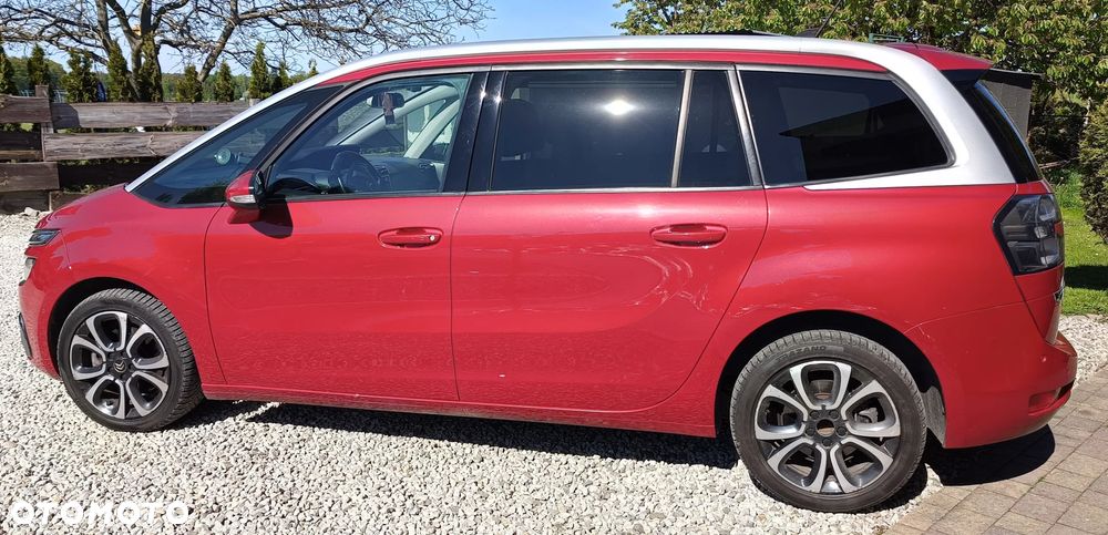 Citroen C4 Spacetourer 2019 photo 3
