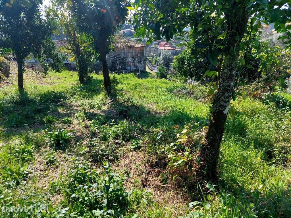 Terreno - Goães - Grande imagem: 5/8