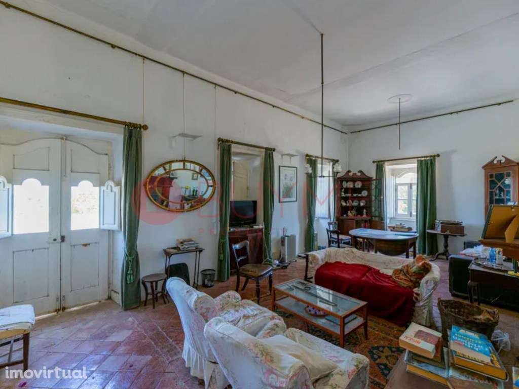 Quinta Tradicional T3 com 2ha e Olival em São Brás de Alportel - Grande imagem: 3/18