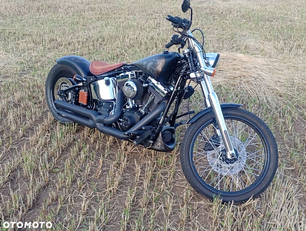 Harley-Davidson Softail - 2