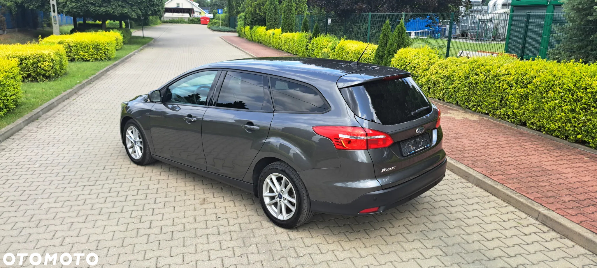 Ford Focus - 6
