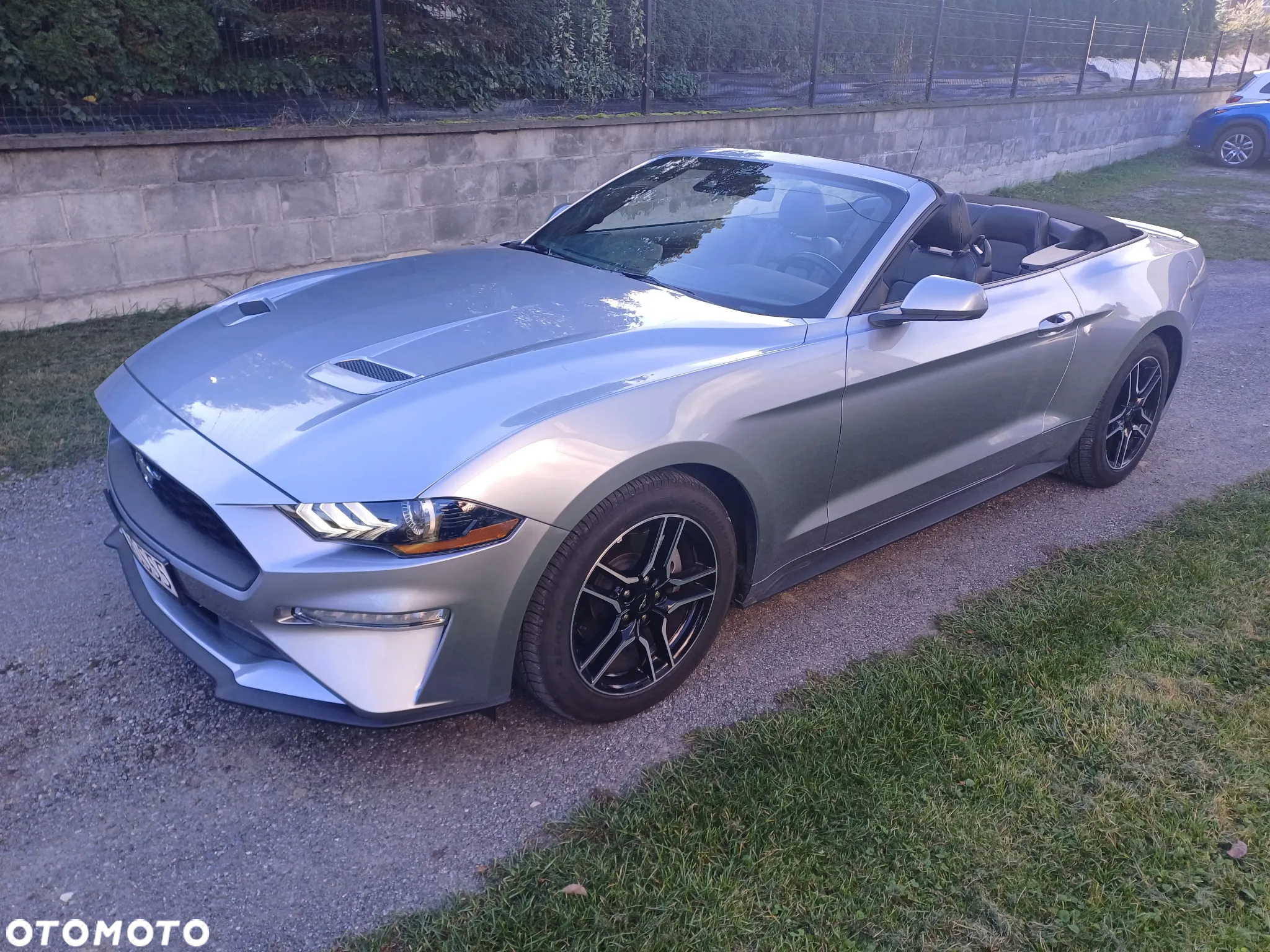 Ford Mustang Cabrio 2.3 Eco Boost - 8
