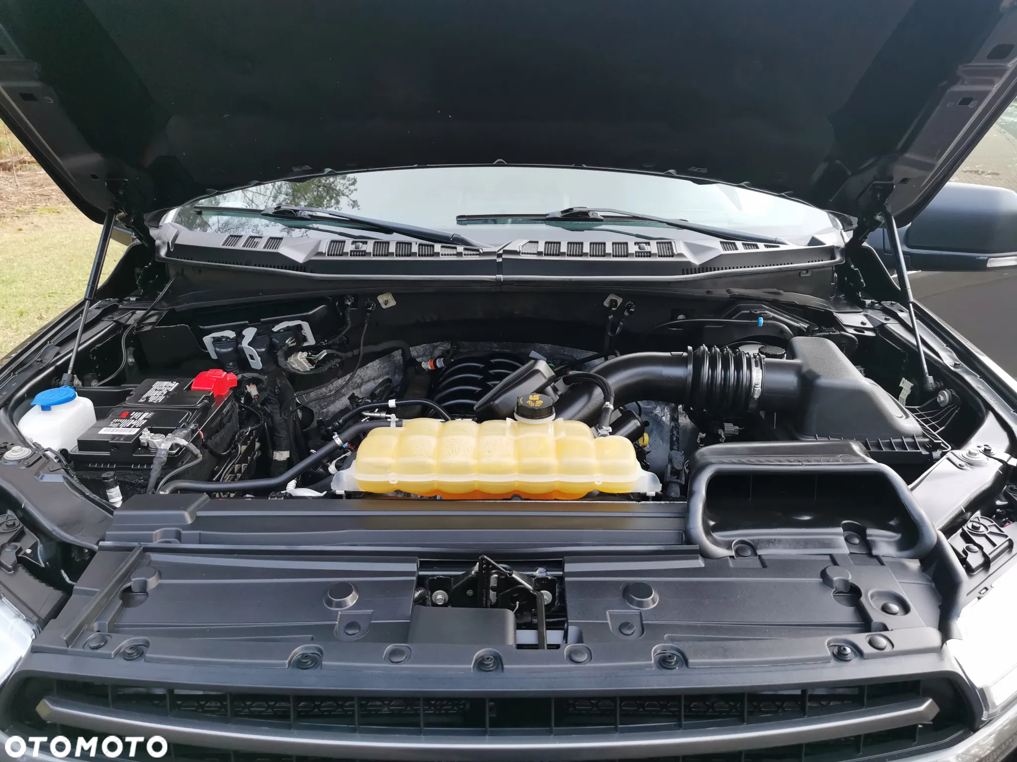 Ford F150 - 19