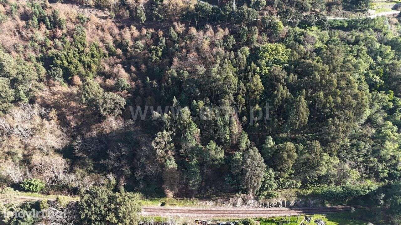 Terreno / Baião, Baião (Santa Leocádia) e Mesquinhata - Grande imagem: 5/9