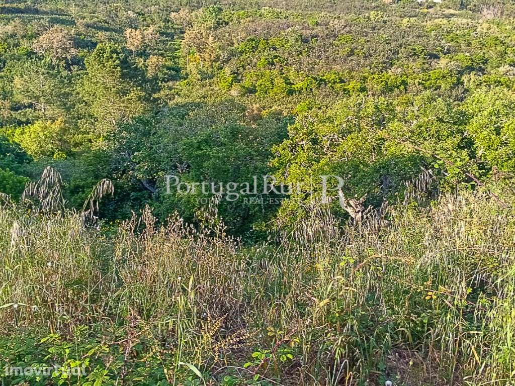 Terreno com 474.750 m² a 3 km das praias e vistas de mar - Grande imagem: 3/20