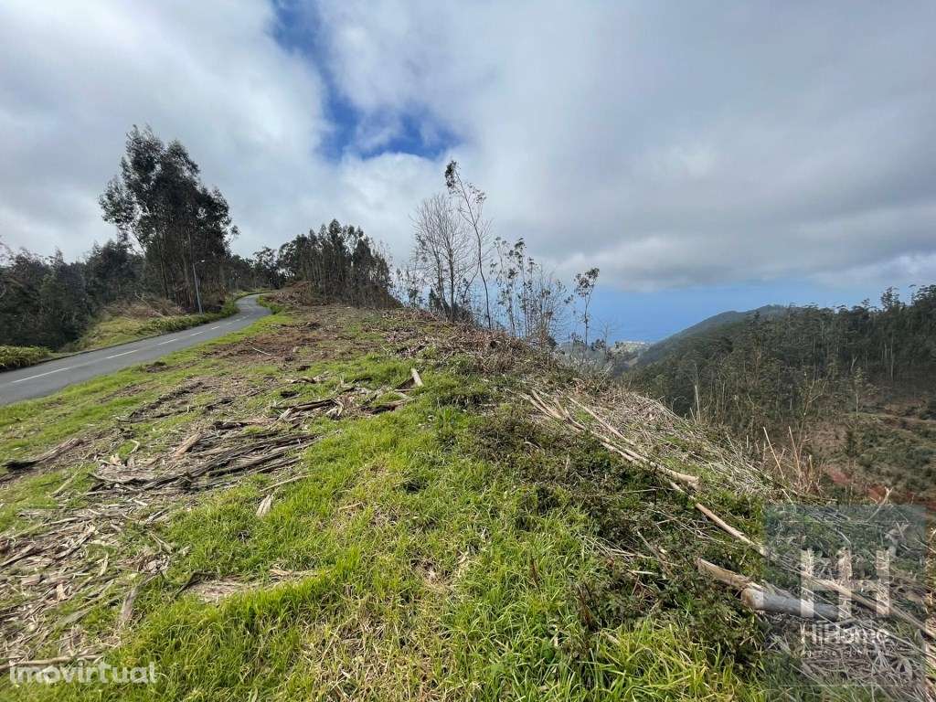 Terreno Rústico com 36.312 m2 no Campanário, Ribeira Brava - Grande imagem: 5/12
