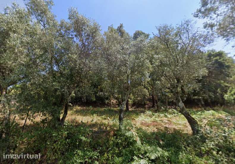 Quinta única na zona rural de Caneças - Grande imagem: 3/4