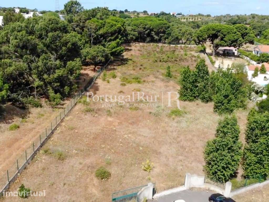 Terreno de 7500m2 para construção - Grande imagem: 4/15