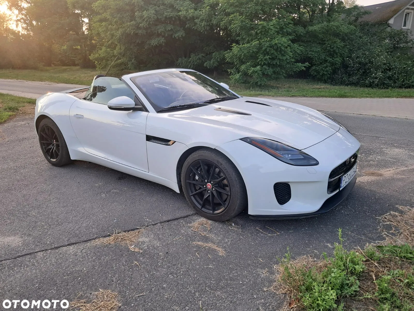 Jaguar F-Type 2.0 Turbo First Edition - 17