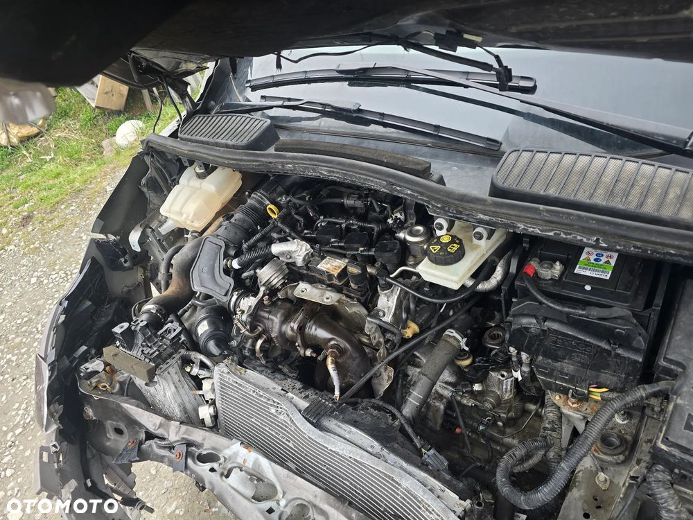 Ford C-MAX 1.0 EcoBoost Ambiente ASS - 7