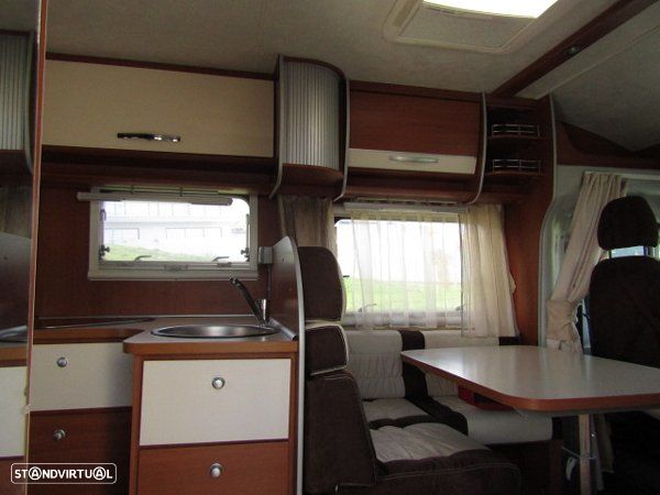 McLouis Yearling Série Limitada - 26