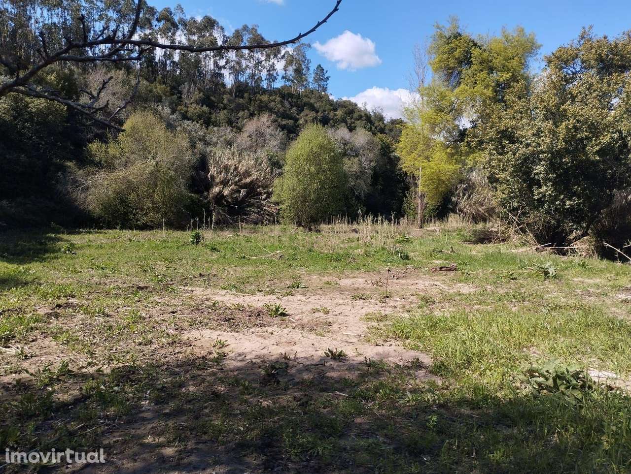 Terreno em Almoster - Santarém - Grande imagem: 2/5