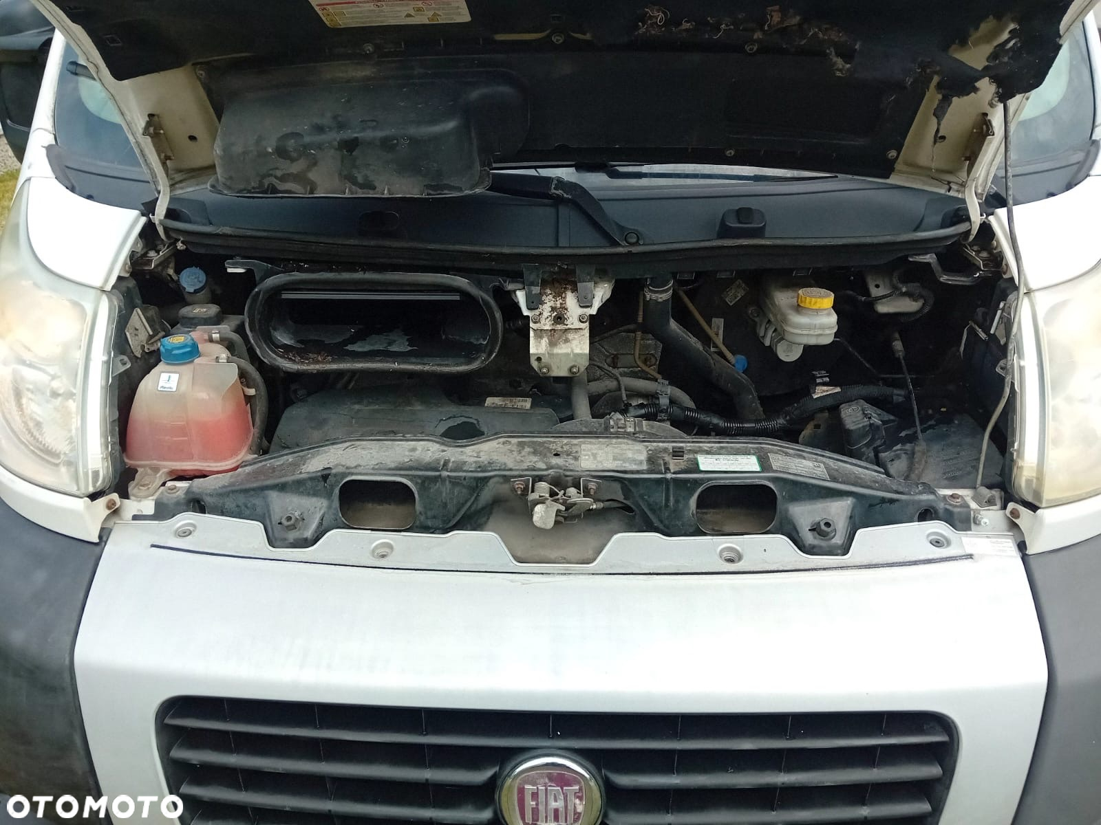 Fiat DUCATO MAXI Klima Dubel Skrzynia - 21