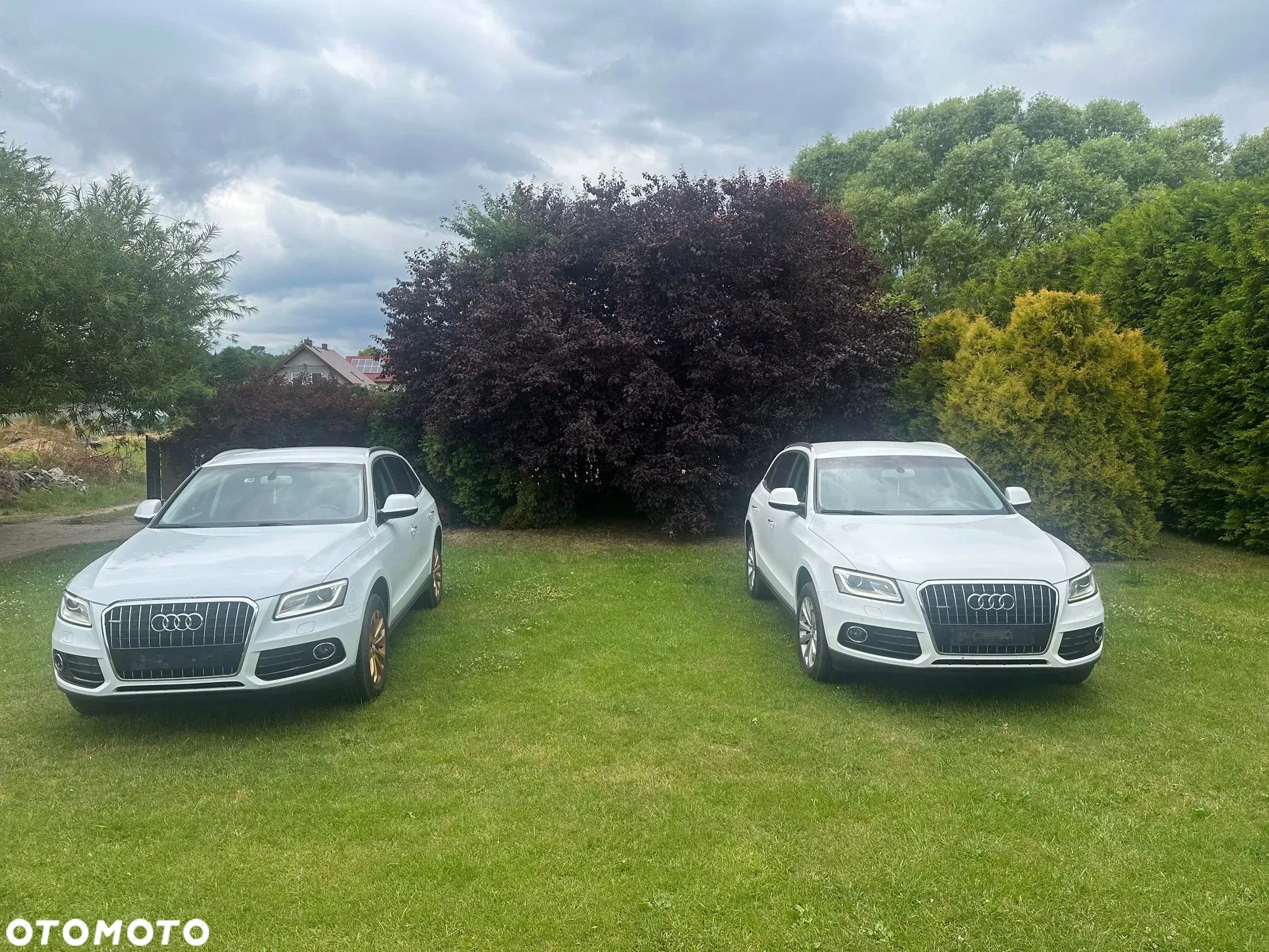 Audi Q5 2.0 TDI clean diesel Quattro S tronic - 1