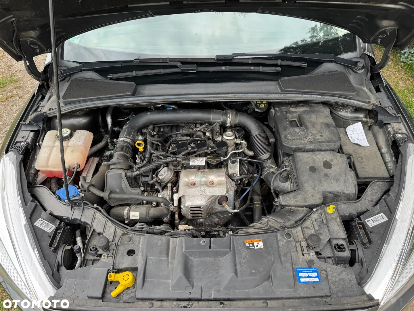 Ford Focus - 9
