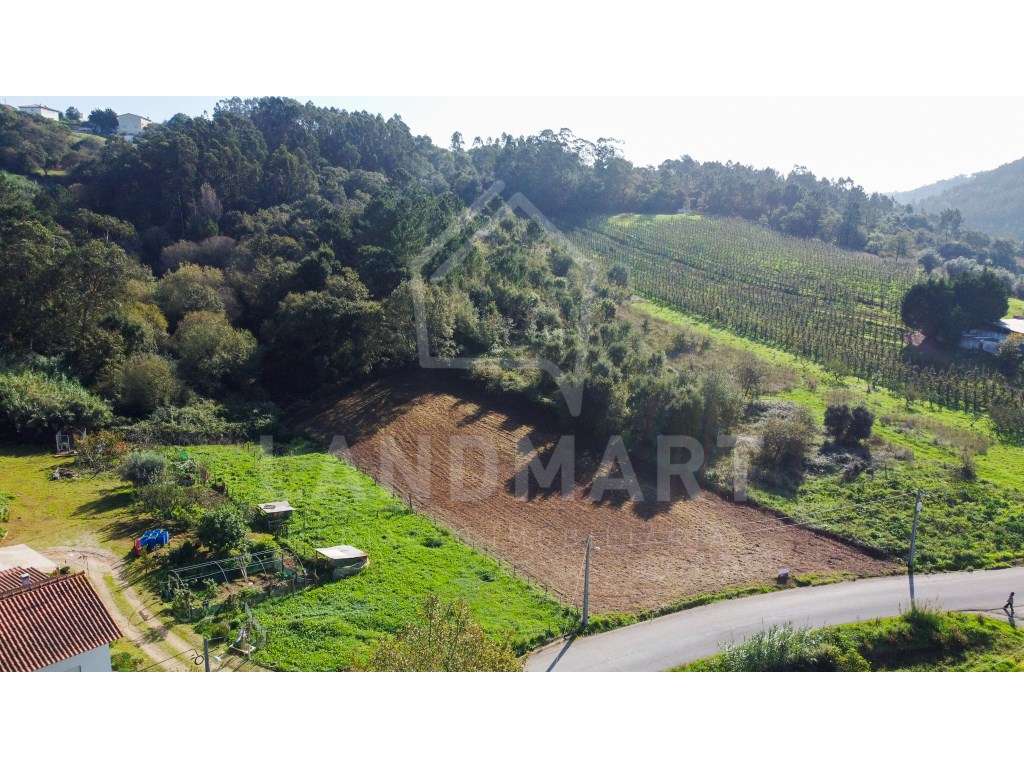 Terreno, Azenha de Baixo - Turquel - Grande imagem: 2/5