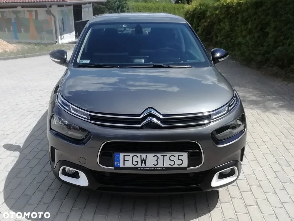 Citroën C4 Cactus 1.2 PureTech GPF Shine S&S EAT6 - 4