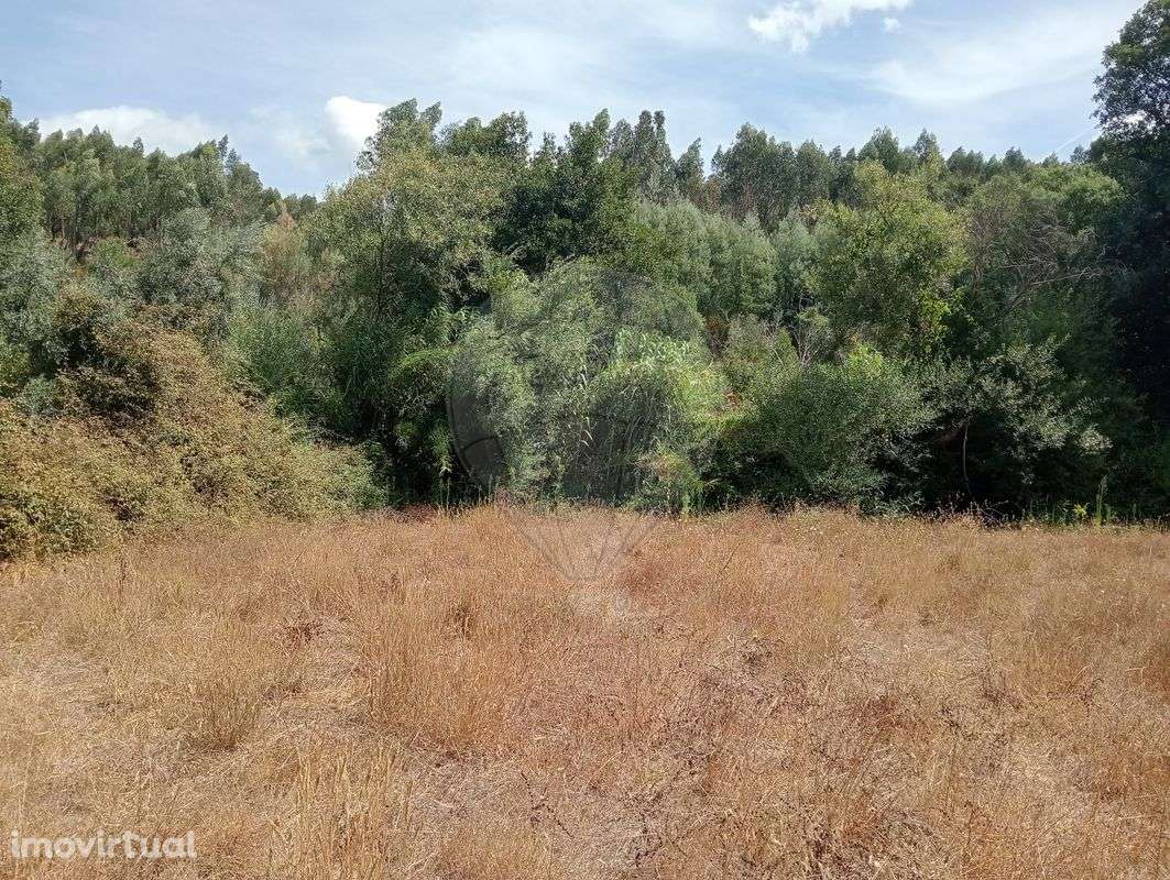 Terreno  para venda - Grande imagem: 2/3