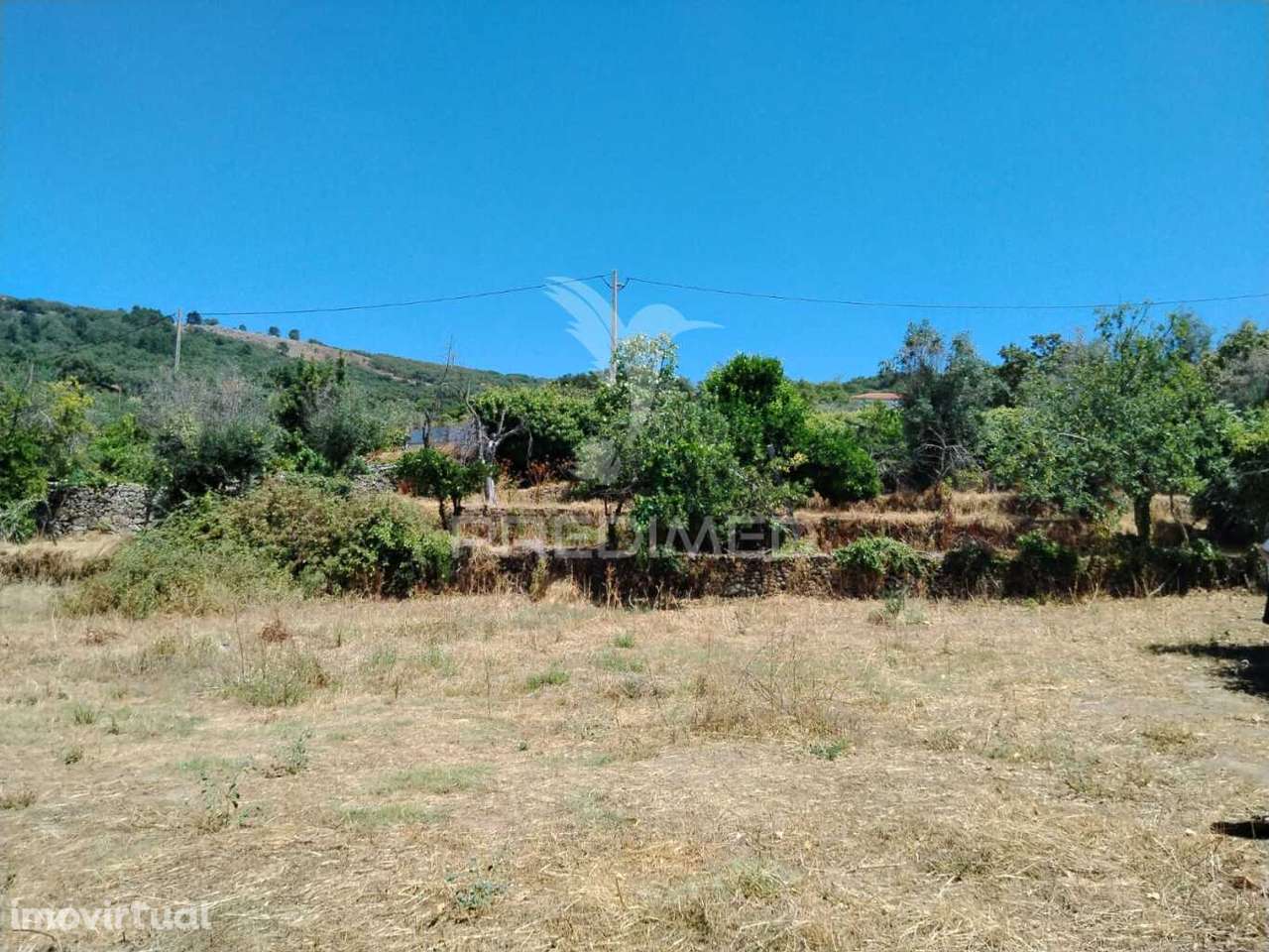 Terreno - Grande imagem: 2/4