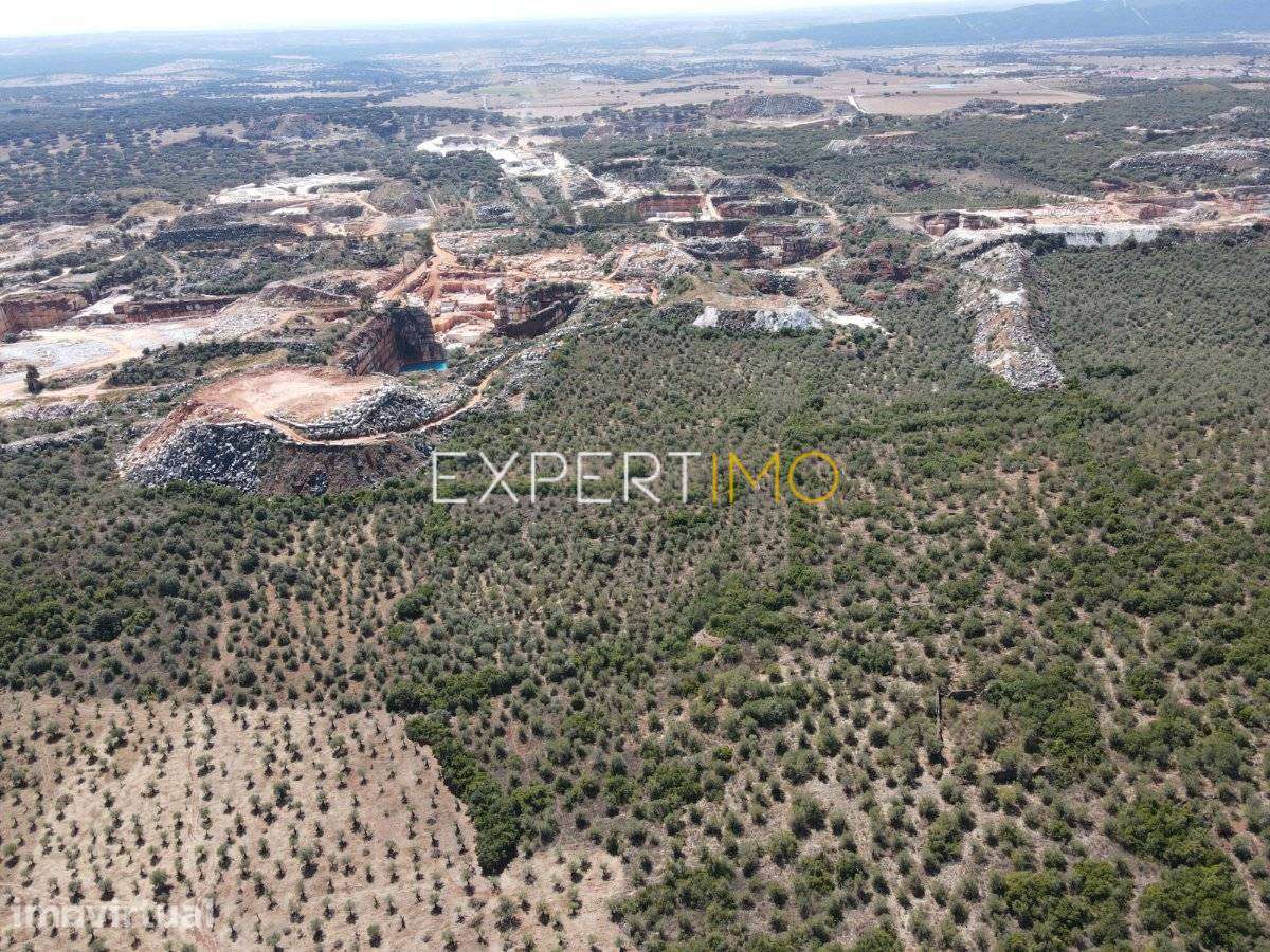 Terreno com Olival e Potencial para Exploração de Mármore | 3,675... - Grande imagem: 4/8