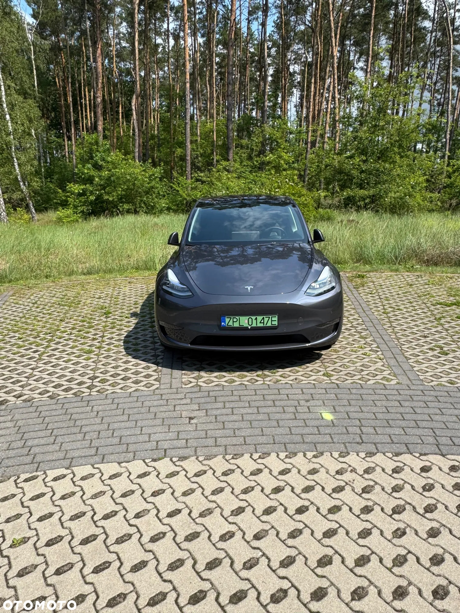 Tesla Y Model Long Range Dual Motor AWD - 6