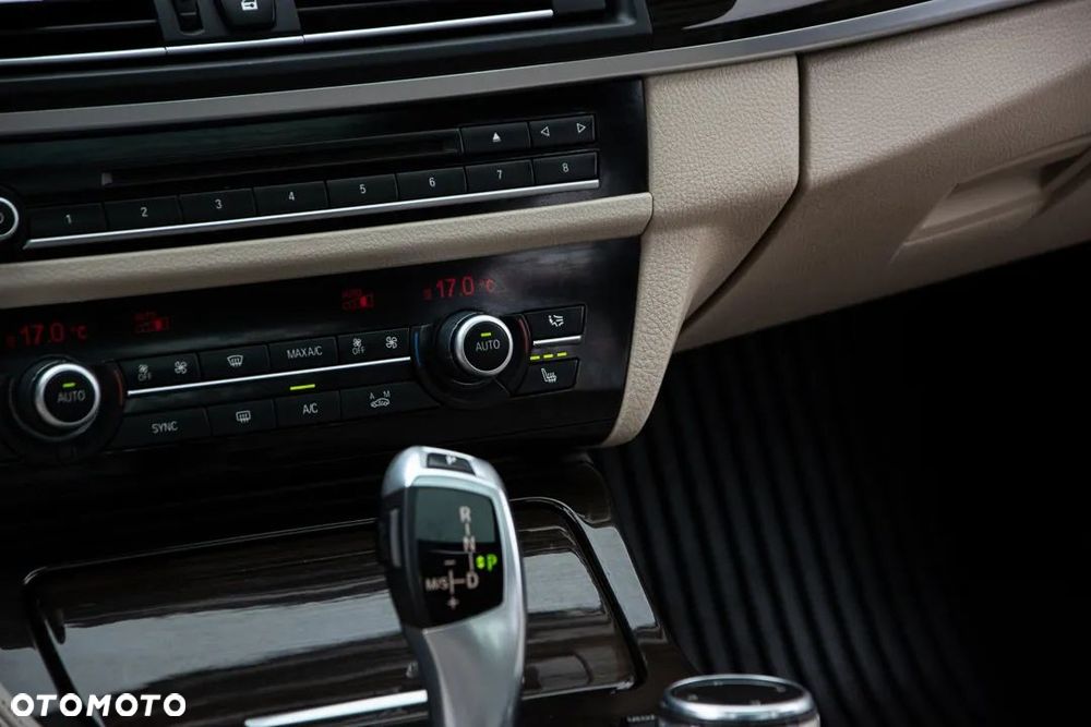 BMW Seria 5 520d Luxury Line - 30