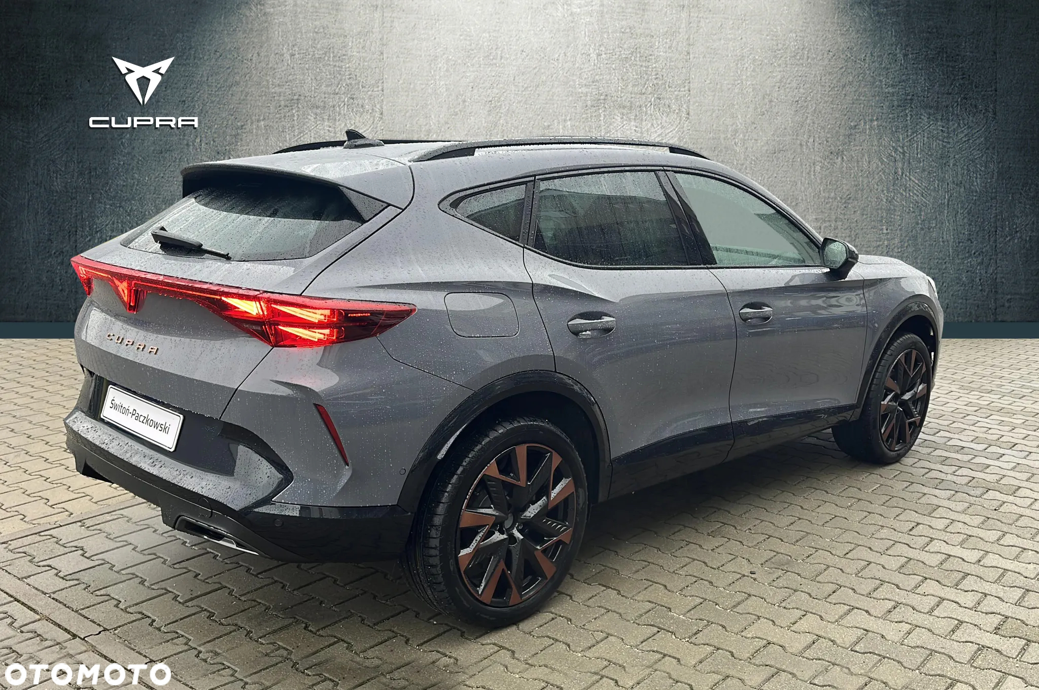 Cupra Formentor 2.0 TSI 4Drive DSG - 5