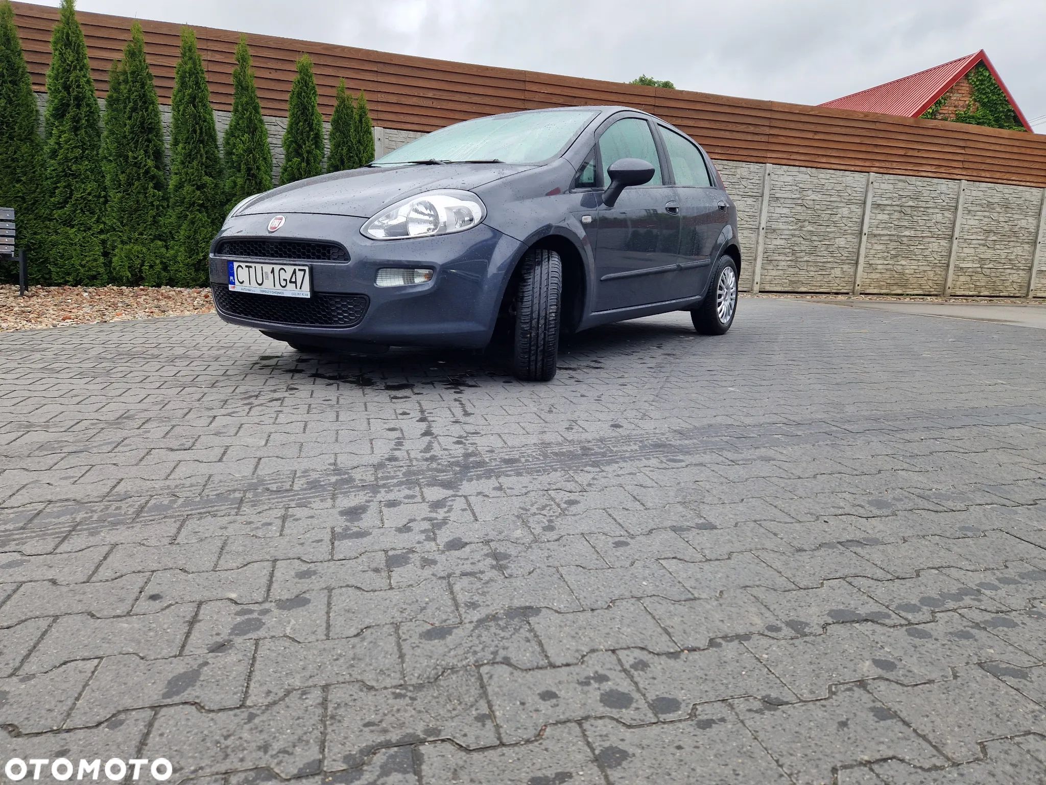 Fiat Punto - 1