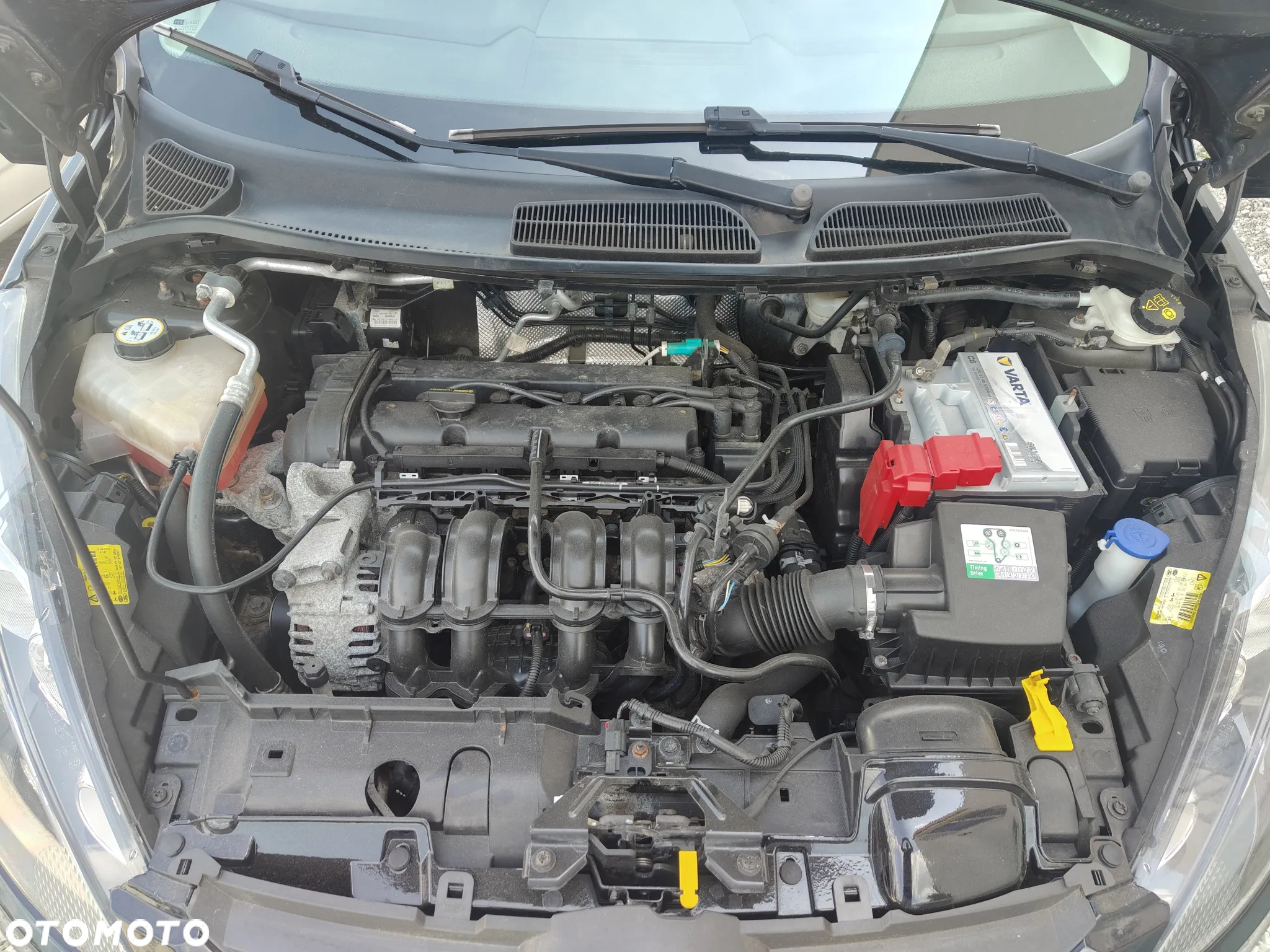 Ford Fiesta 1.25 Champions Edition - 26