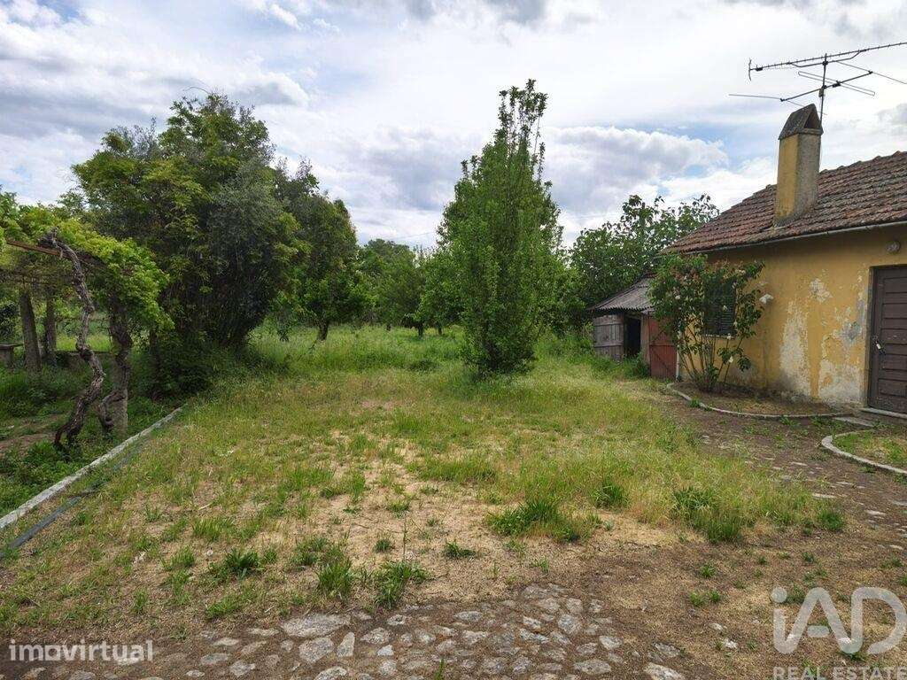 Quinta em Viseu de 162,3 m2 - Grande imagem: 5/20