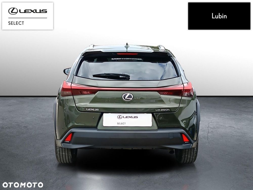 Lexus UX 250h GPF Business 2WD - 5