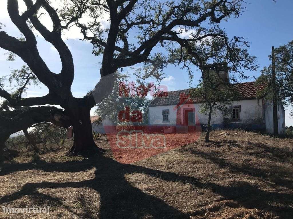 Quinta com habitação em São Francisco da Serra - Grande imagem: 3/12