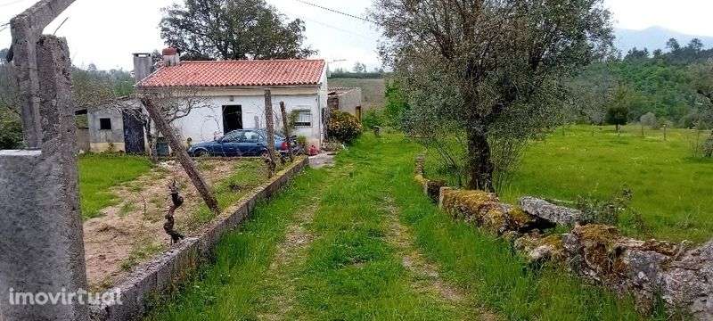 Casa 1200m² terreno Urbano anexos Galizes Oliv Hospital - Grande imagem: 4/12