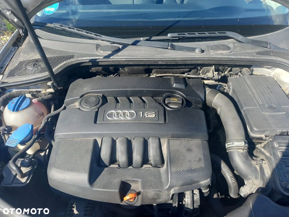 Audi A3 Sportback 1.6 Attraction - 13
