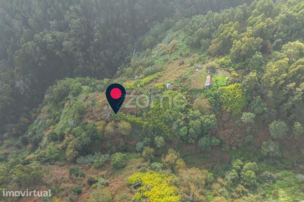 Terreno para venda em Santa Cruz- 1490 m2 - Grande imagem: 3/4