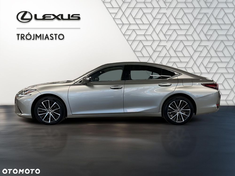 Lexus ES 300h Business Edition - 2