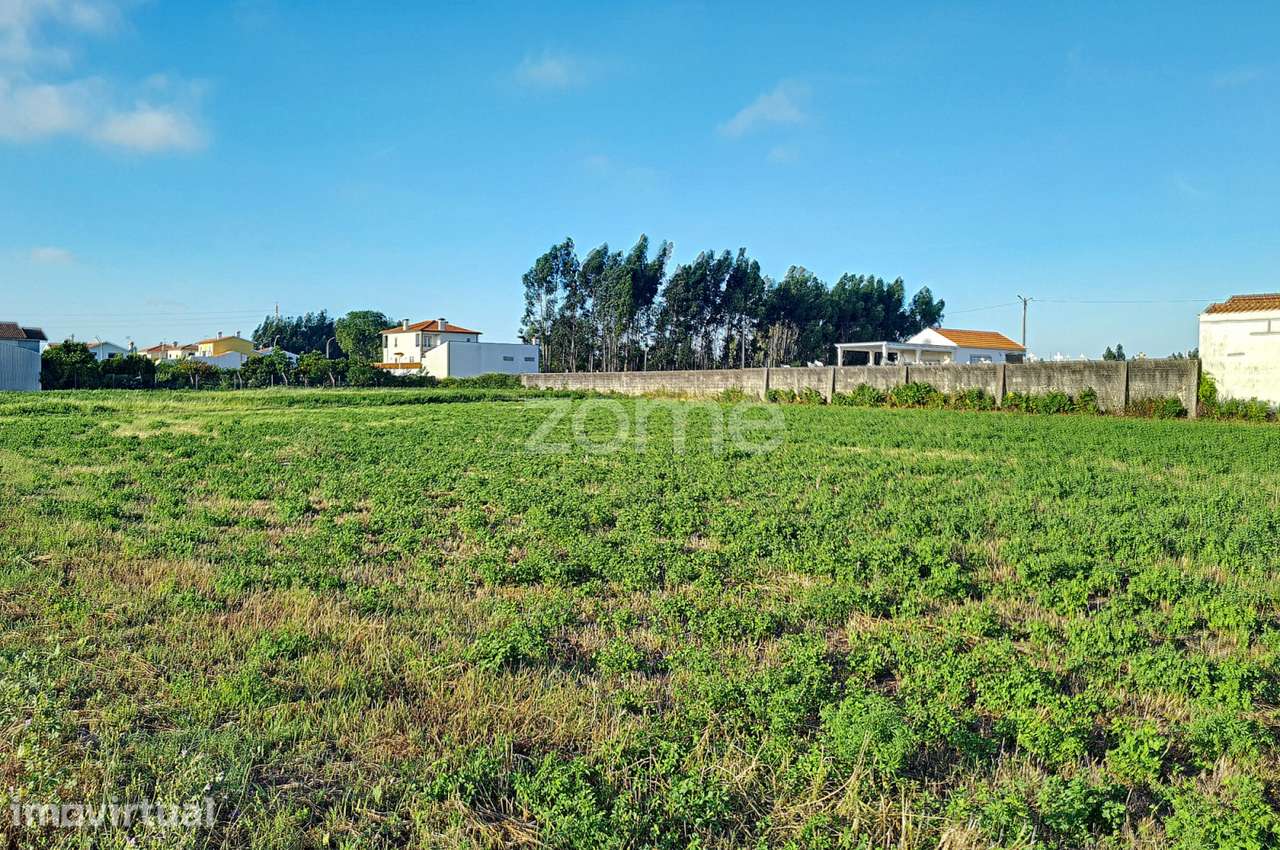 Terreno |
