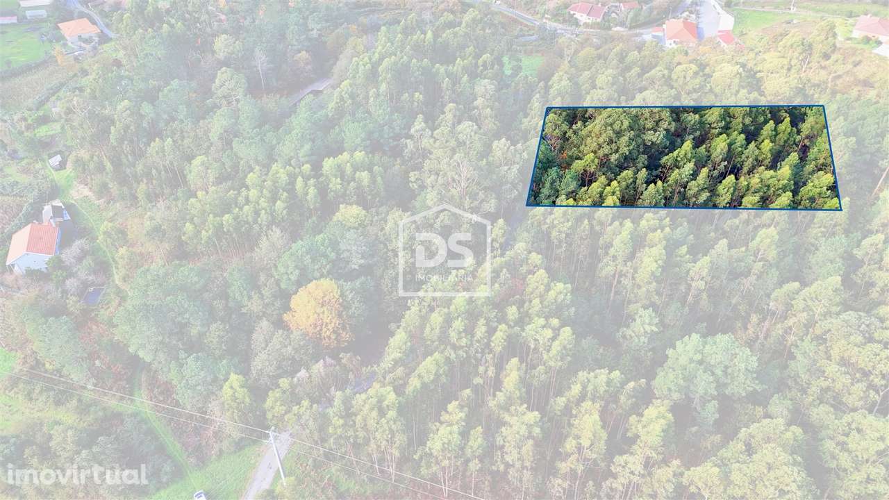 Terreno Rústico  Venda em Agilde,Celorico de Basto - Grande imagem: 3/18