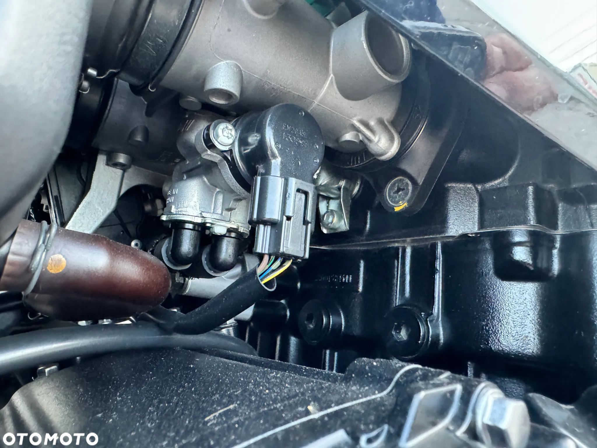 Suzuki GS - 20