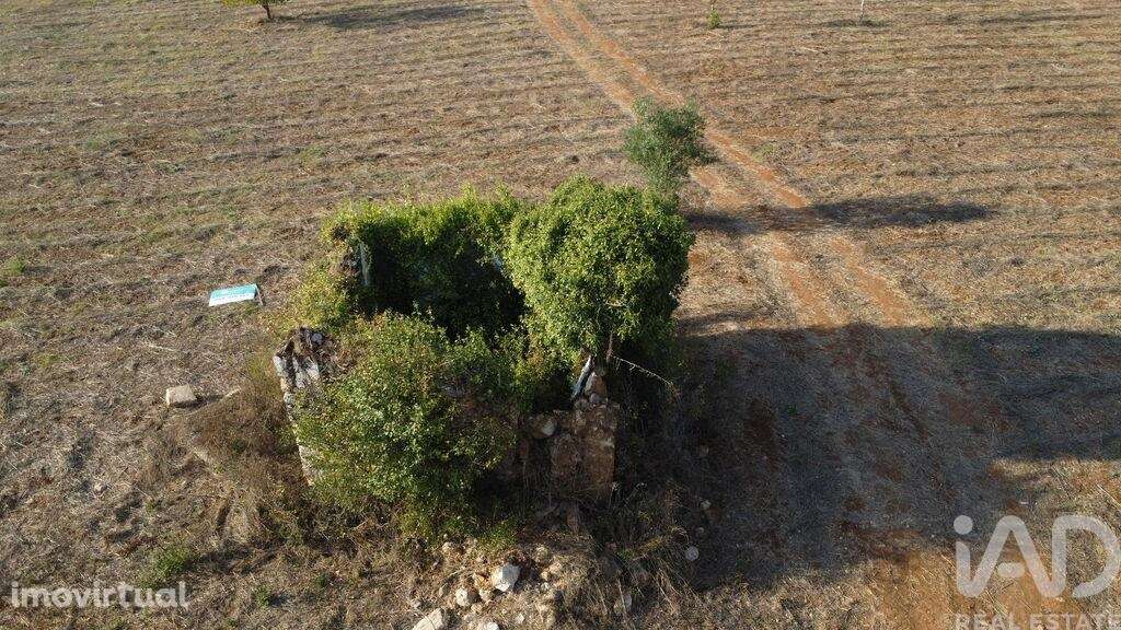 Terreno para construção em Areias e Pias de 8120,00 m2 - Grande imagem: 2/19