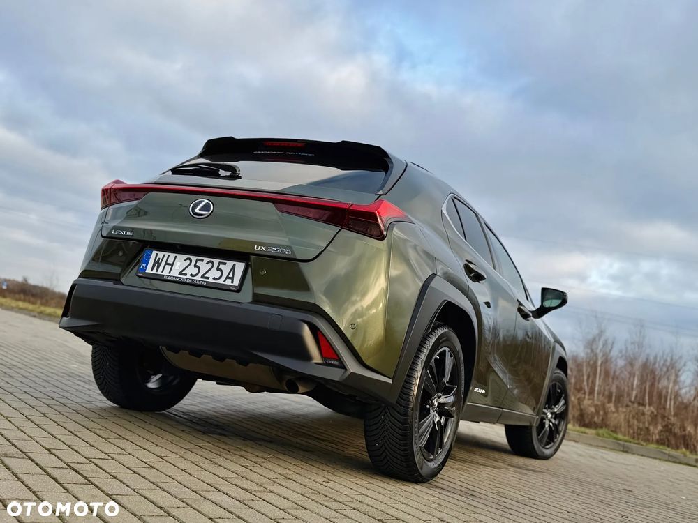 Lexus UX 250h GPF F Impression 2WD - 13