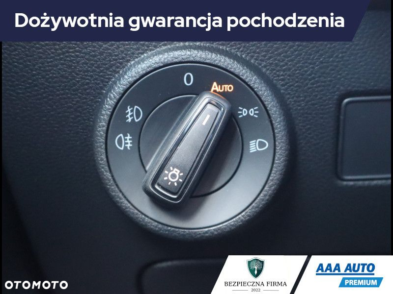 Cupra Ateca - 21