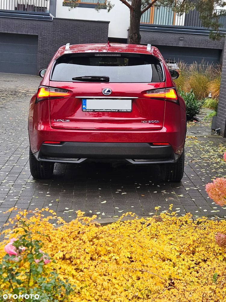 Lexus NX 300h Comfort AWD - 11