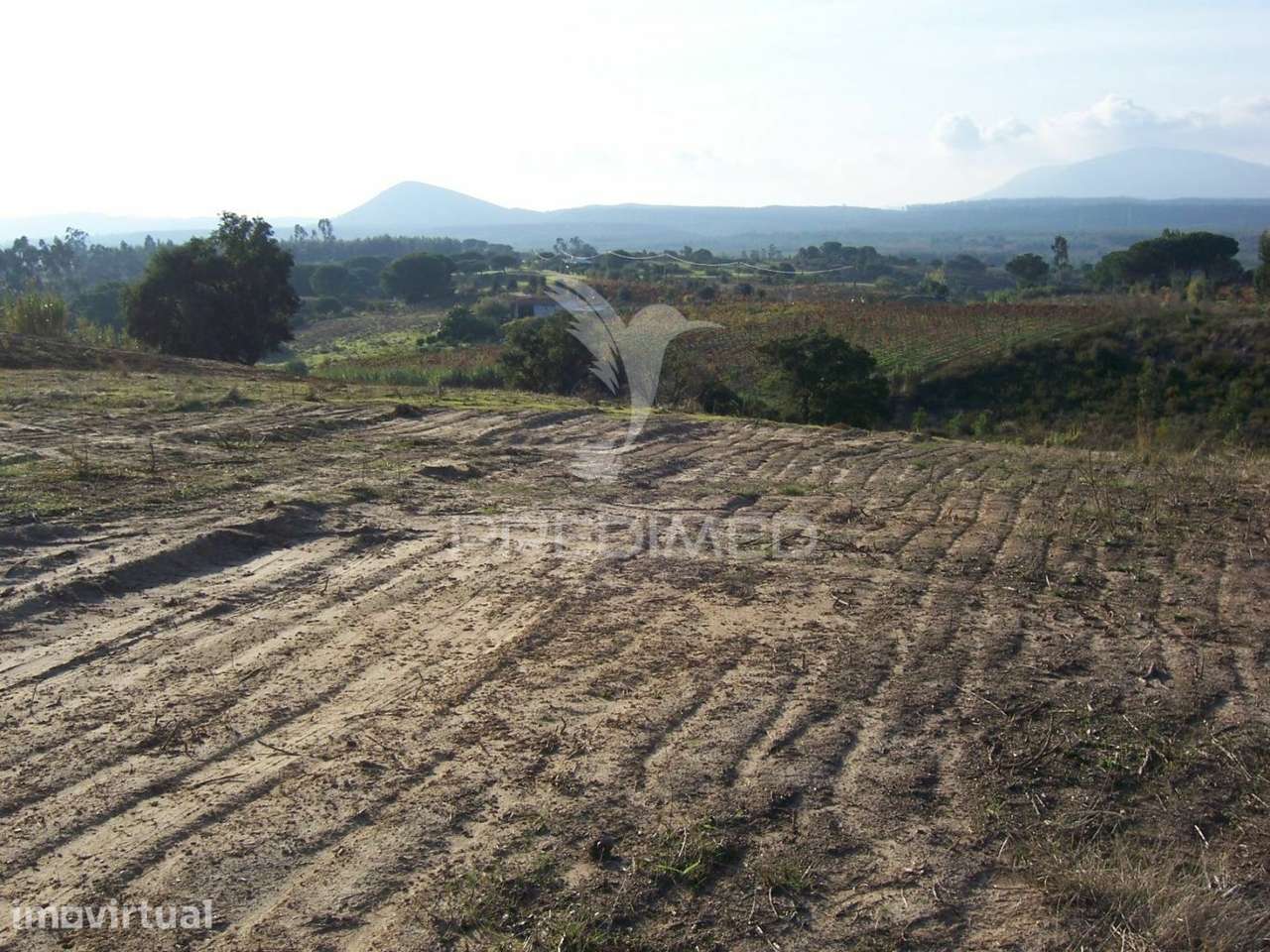 TERRENO AVEIRAS DE CIMA - 30 MINUTOS DE LISBOA - Grande imagem: 4/7