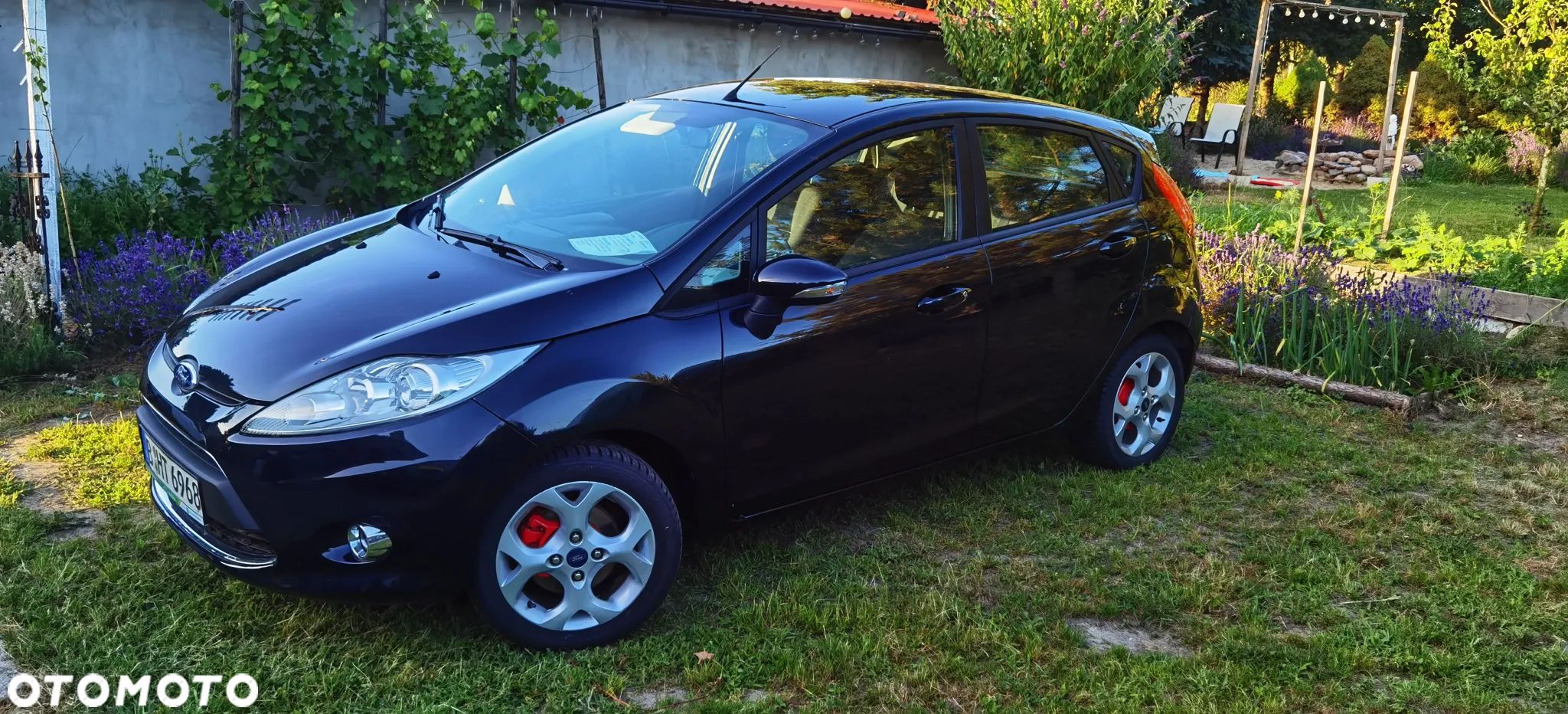 Ford Fiesta - 1