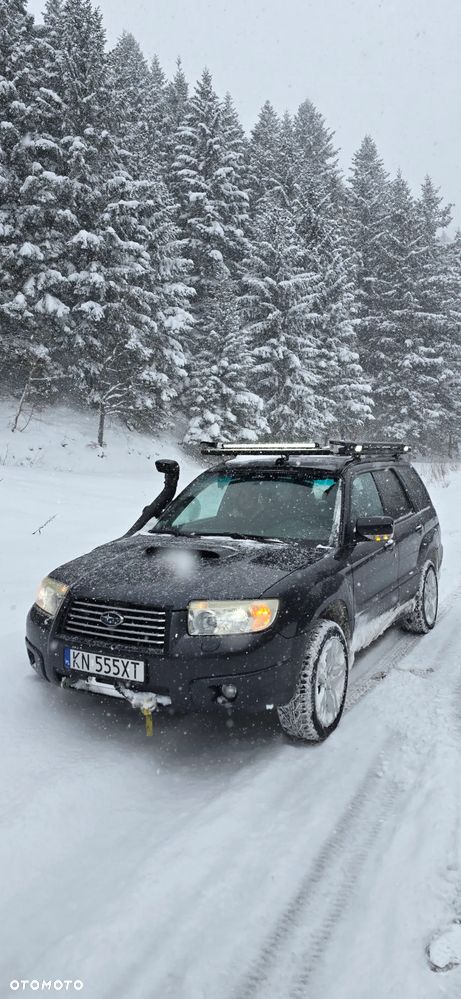 Subaru Forester - 19